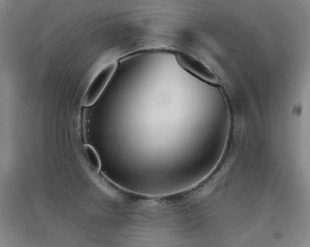 X0000091551234200708171259