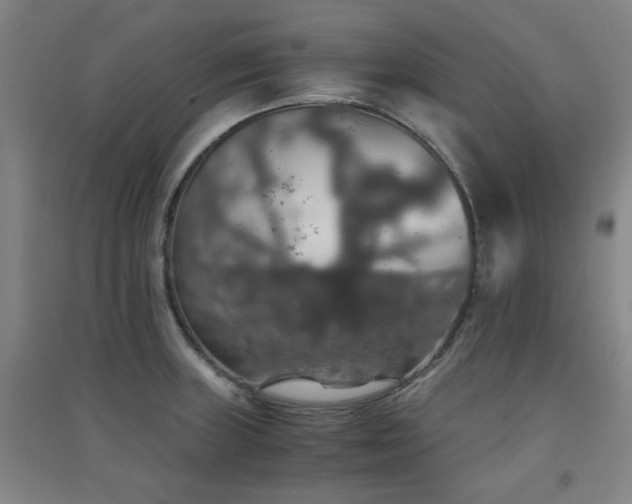 X0000091551235200708171259