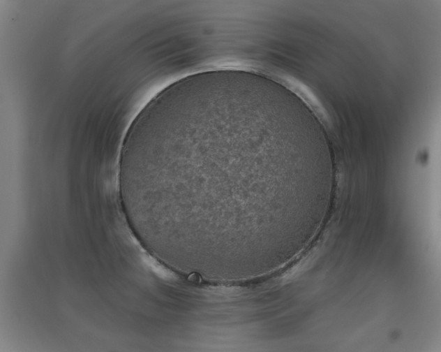 X0000091551236200708171259
