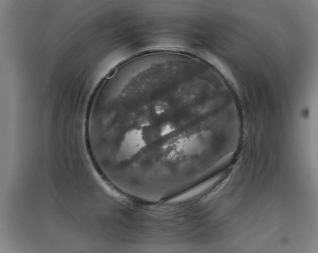 X0000091551237200708171259
