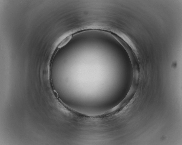X0000091551238200708171259