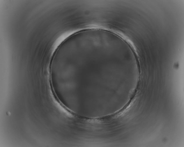 X0000091551239200708171259