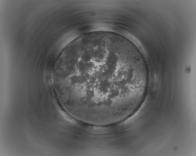 X0000091551241200708171259