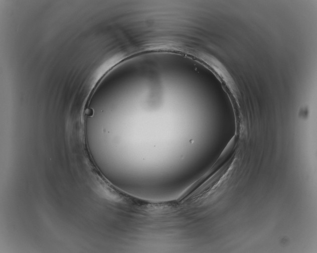 X0000091551242200708171259