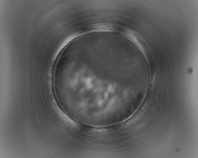 X0000091551243200708171259
