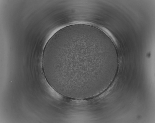 X0000091551244200708171259