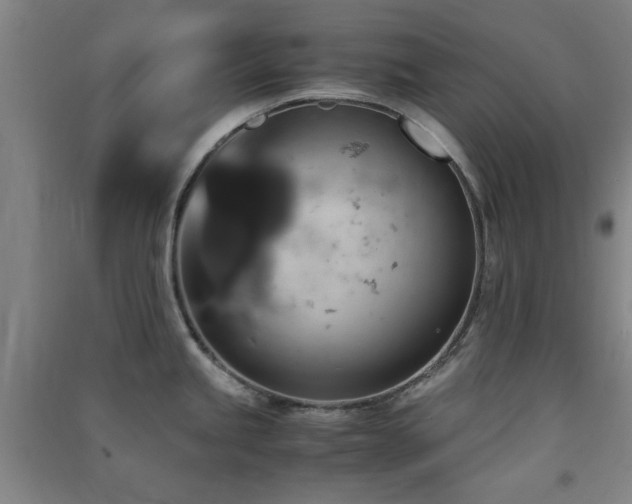 X0000091551245200708171259