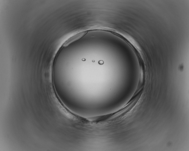 X0000091551246200708171259