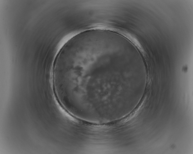 X0000091551247200708171259