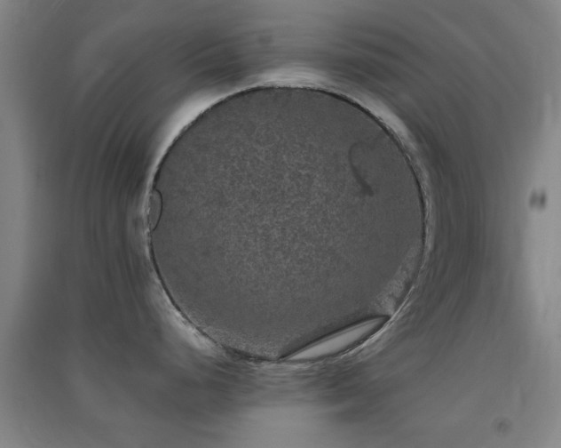 X0000091551248200708171259