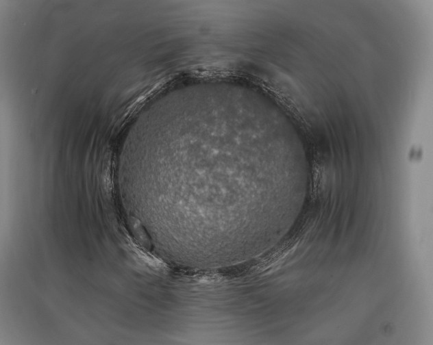 X0000091551250200708171259