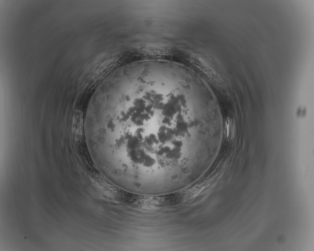 X0000091551251200708171259