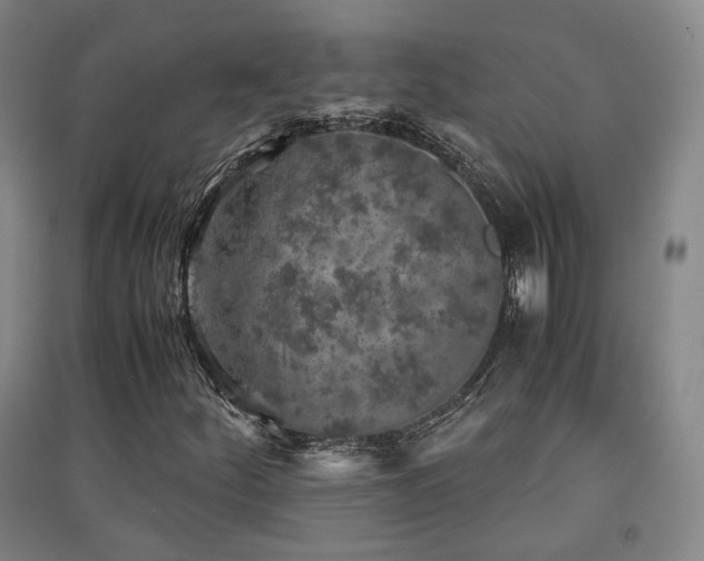 X0000091551252200708171259