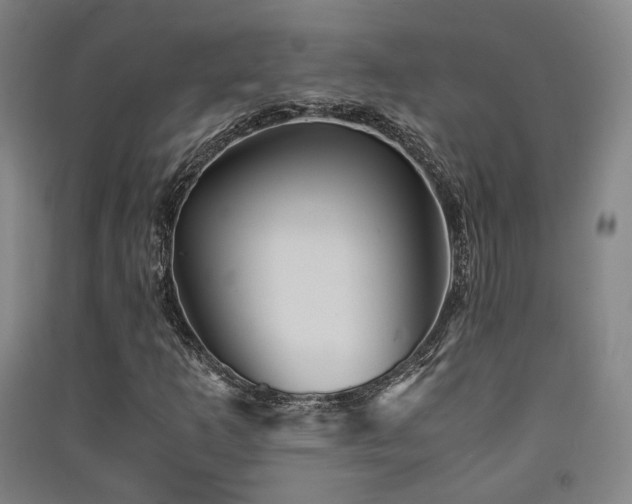 X0000091551253200708171259