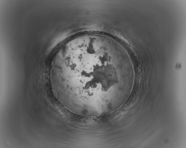 X0000091551255200708171259