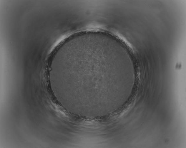 X0000091551256200708171259