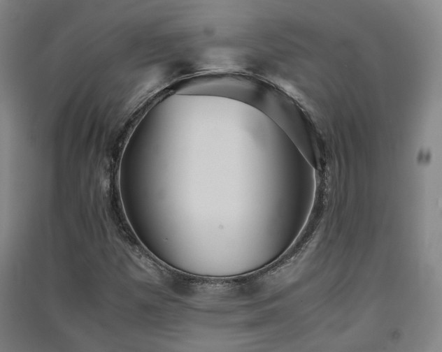 X0000091551257200708171259