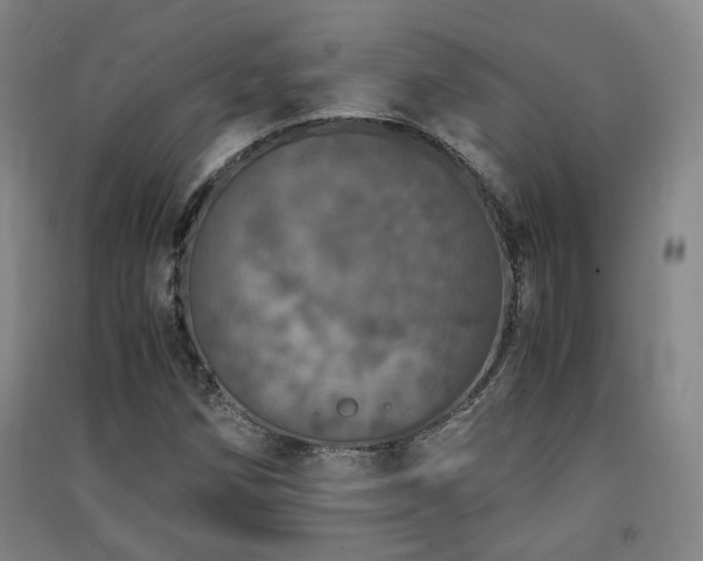 X0000091551258200708171259