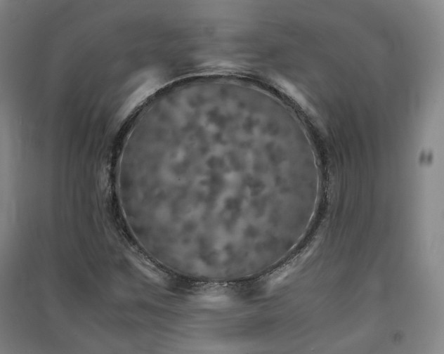 X0000091551259200708171259