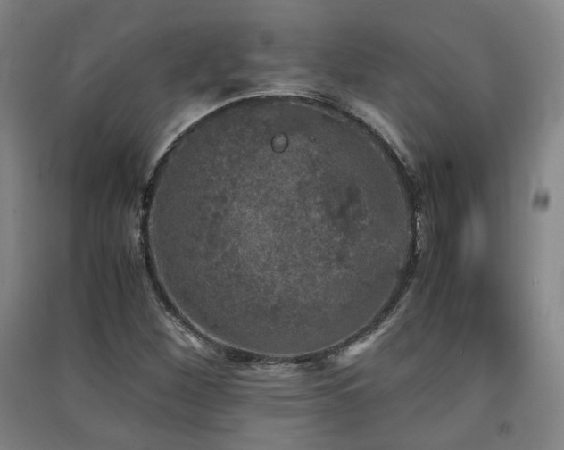 X0000091551260200708171259