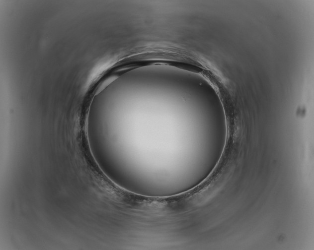 X0000091551261200708171259