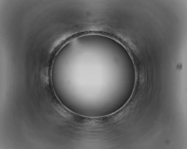 X0000091551262200708171259