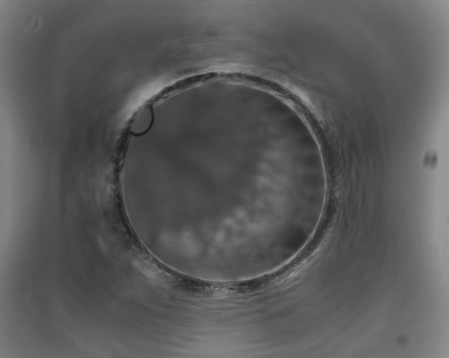 X0000091551263200708171259