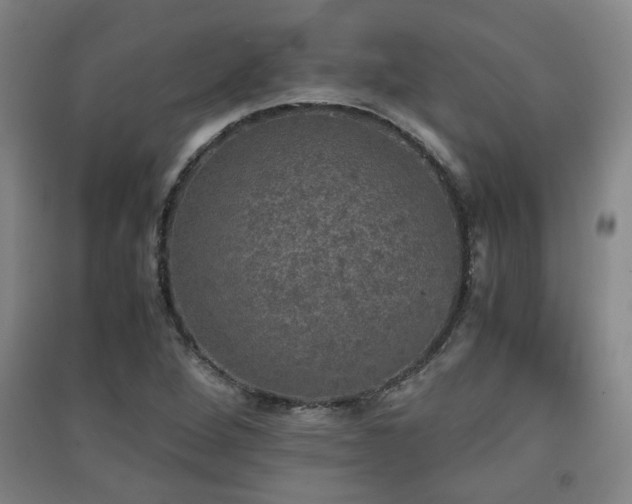 X0000091551264200708171259