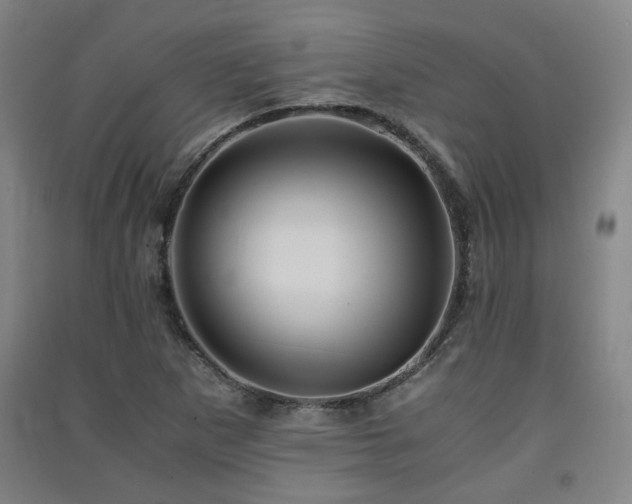 X0000091551265200708171258