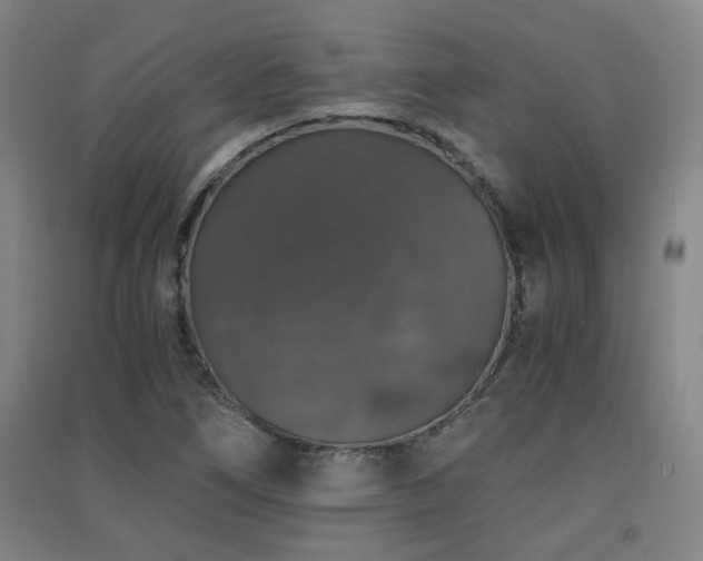 X0000091551266200708171258