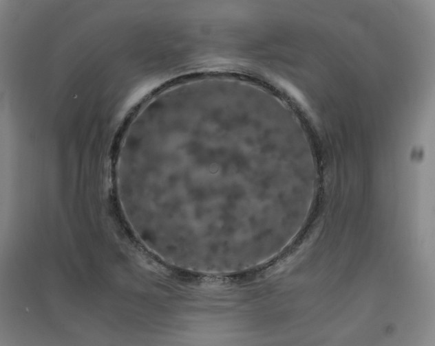 X0000091551267200708171258