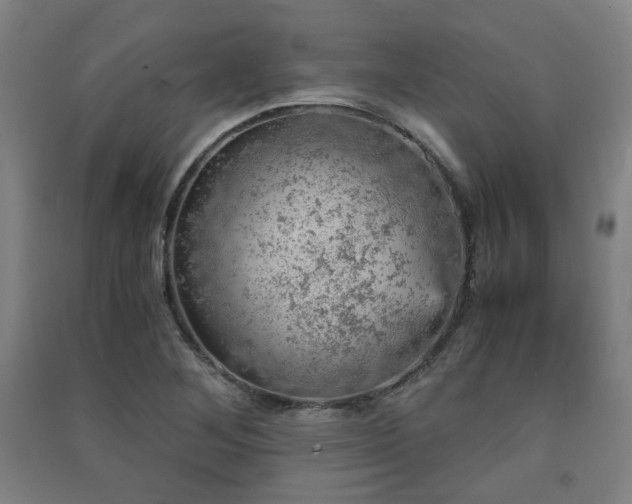 X0000091551268200708171258