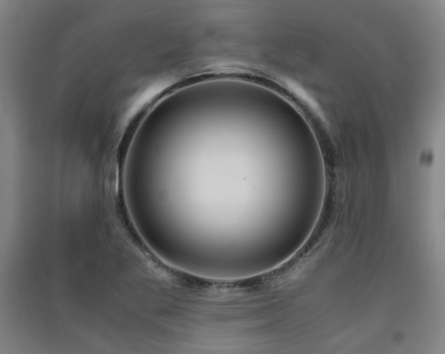 X0000091551269200708171258