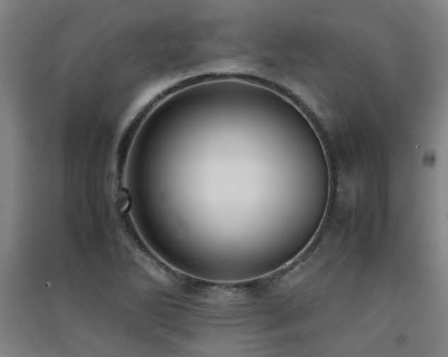 X0000091551270200708171258