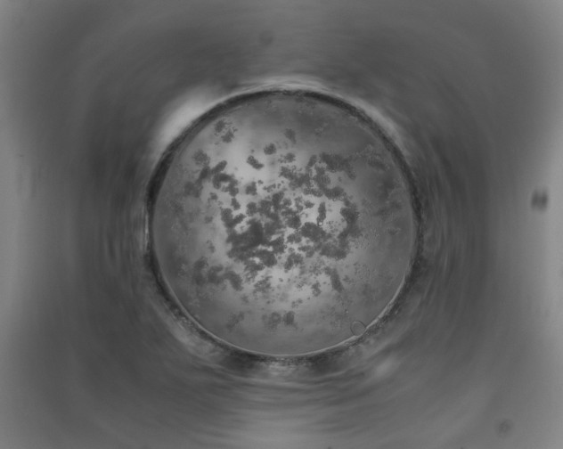 X0000091551271200708171258