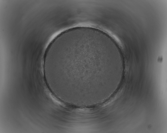 X0000091551272200708171258