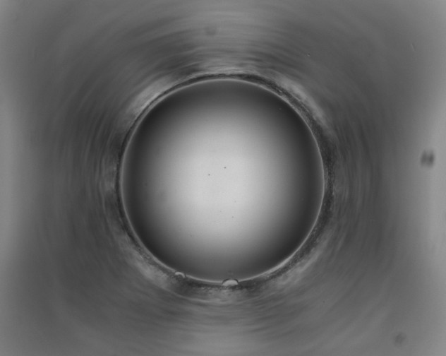 X0000091551273200708171258