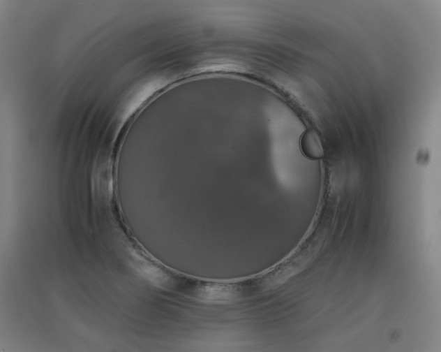 X0000091551274200708171258