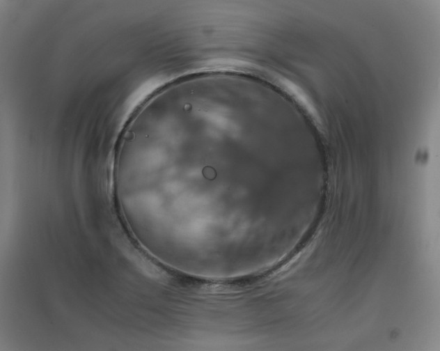 X0000091551275200708171258