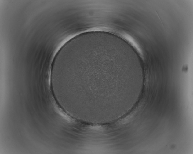 X0000091551276200708171258