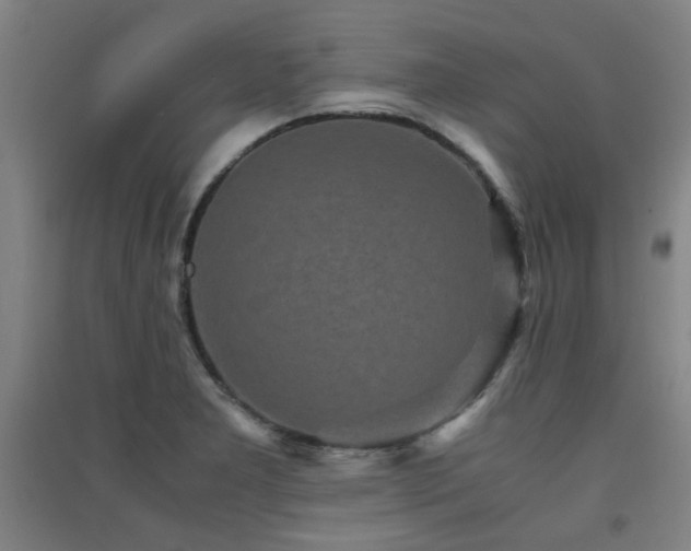 X0000091551277200708171258