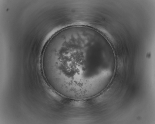X0000091551278200708171258