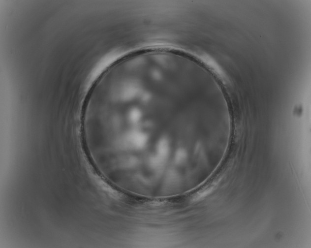 X0000091551279200708171258