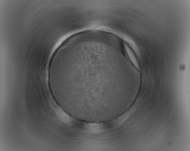 X0000091551280200708171258