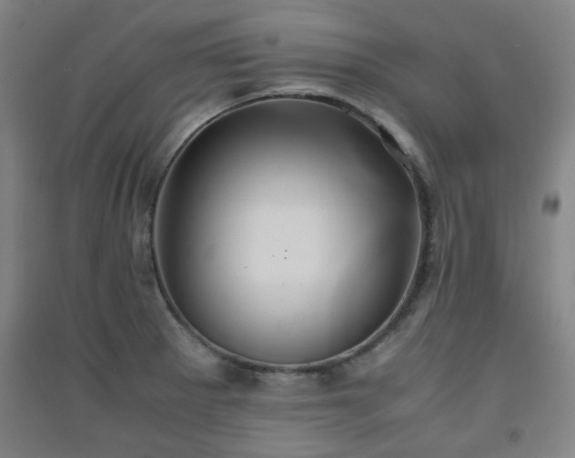 X0000091551281200708171258