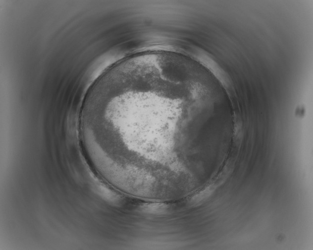 X0000091551282200708171258