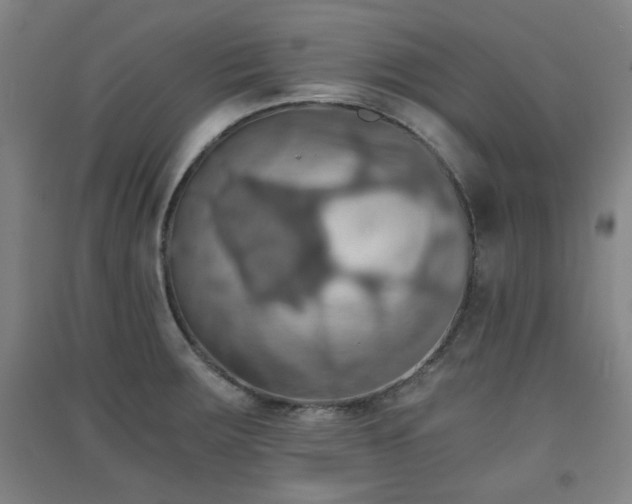 X0000091551283200708171258