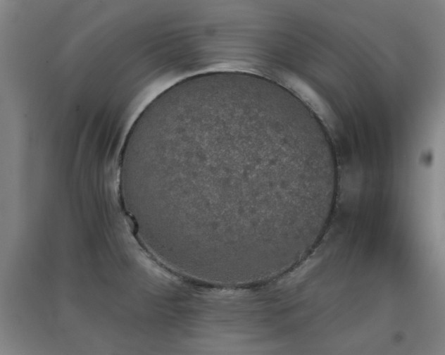 X0000091551284200708171258