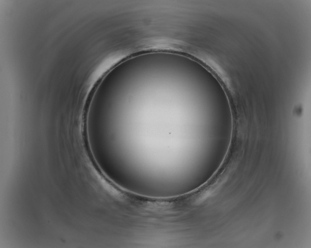 X0000091551285200708171258