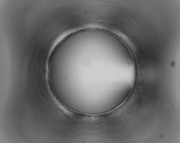 X0000091551286200708171258